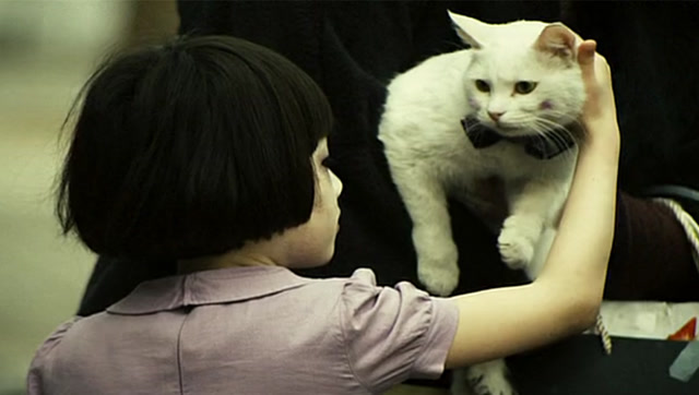 一部韩国恐怖电影猫看见死亡的双眼爱猫的小女孩惹不起