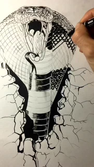 十七秒教你快速学会画3d蛇王莫名的害怕啊