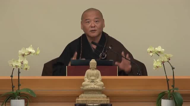 圆觉经161—2015年1月19日 自然大和尚宣讲