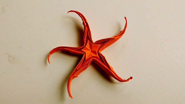 折纸视频教程立体海星折法 动手动脑益智醒神 少儿老年玩乐俱佳