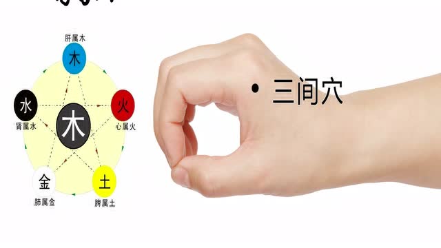 将象和中医艾灸针灸取穴:三间穴