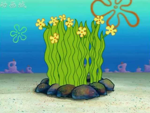 ౦:׵ĺݿŵСƻ