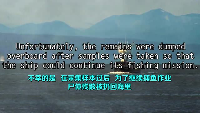 日本打捞出灭绝万年的蛇颈龙海中不明生物引发恐慌