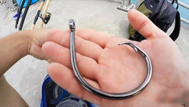 看看这个大鱼钩,这是想要钓什么?