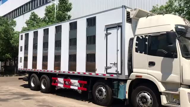 福田欧曼高端鸡苗运输车 厢长8.6米