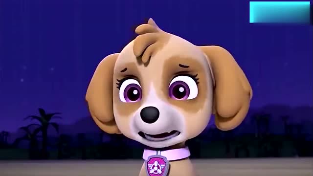 汪汪队立大功:天天发现人鱼狗