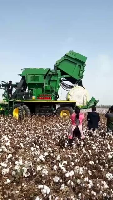 棉花采收神器,真是大开眼界!