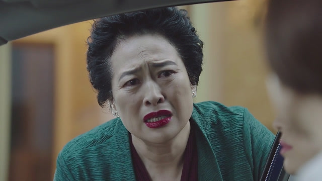 我的前半生泼辣的薛甄珠子君妈妈去世这4个瞬间成遗憾