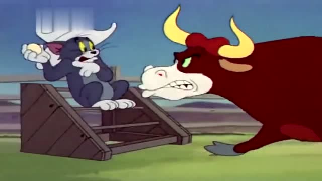 猫和老鼠:汤姆蒙眼斗牛,这一幕真经典,太搞笑了!