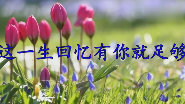 这首《这一生回忆有你就足够》,歌声动听,我听了好几遍!