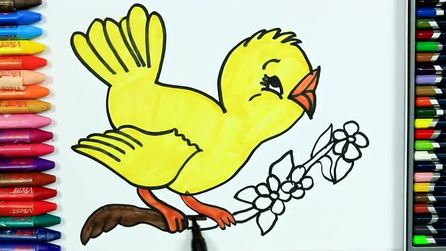小班美术教案小鸟涂色图片
