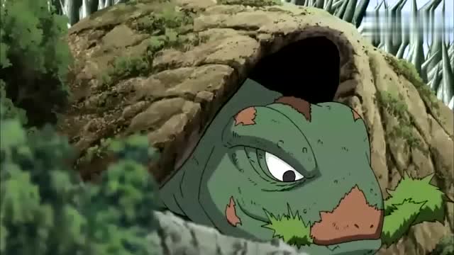 火影忍者:当凯的通灵兽的小乌龟好可怜的啊