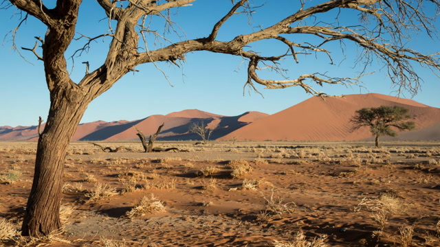 治沙脚步从未停止,要是沙漠都变成森林,地球会如何?