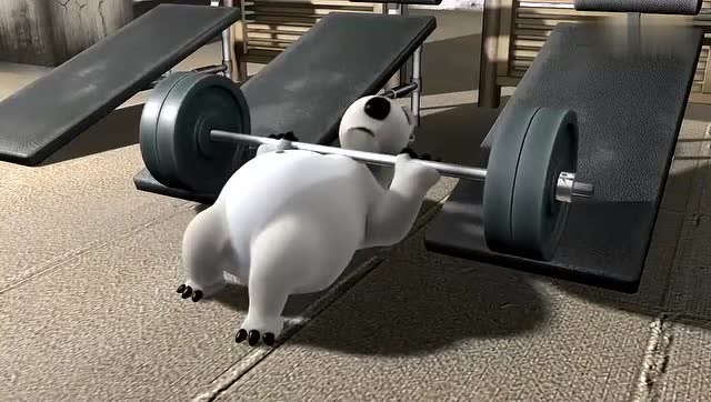 倒霉熊:去健身的小熊熊要注意安全了