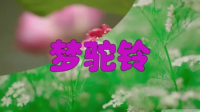 耳机党必收!卓依婷唱《梦驼铃》,感情真挚气场全开