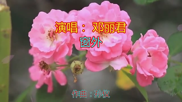 一首经典歌曲窗外真的太好听了,送给大家