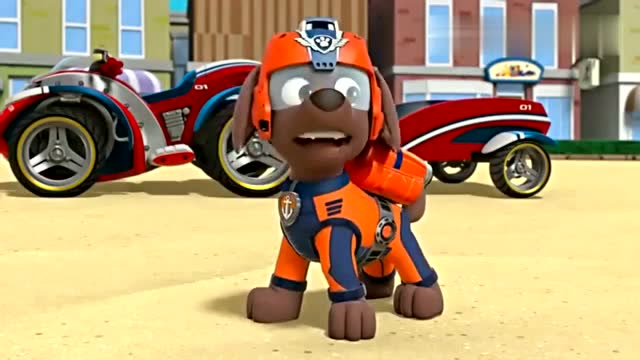 《汪汪队立大功 第4季》哇哦,路马在和海豚并肩游泳呢