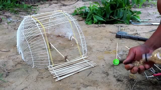 原始技术神奇的鸟陷阱由风扇卫兵和竹筷子制成
