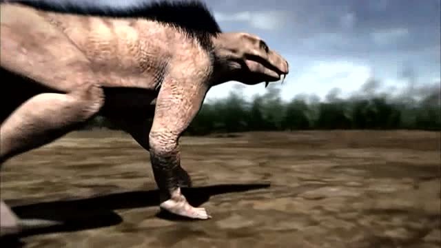 丽齿兽就是霸王龙,一下就把吃草的恐龙犬齿兽干掉,恐龙史前时代