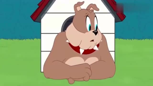 猫和老鼠:汤姆和斯派克的儿子玩游戏,赢了就要挨揍!