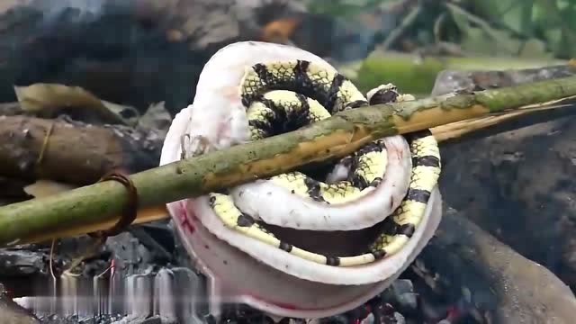 兄弟俩野外搞野味,好好的食材被他们做的不成样子