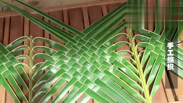 手工达人用棕榈树叶子做编织,成品让女孩子们都喜欢!
