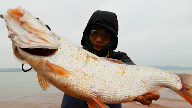 寒冷的冬天去湖边钓鱼,坚守2个小时,终于钓到了一条大红尾鱼!