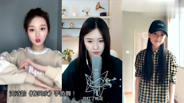 《春风吹》手势舞,好漂亮,阿冷的声音很好听呀!