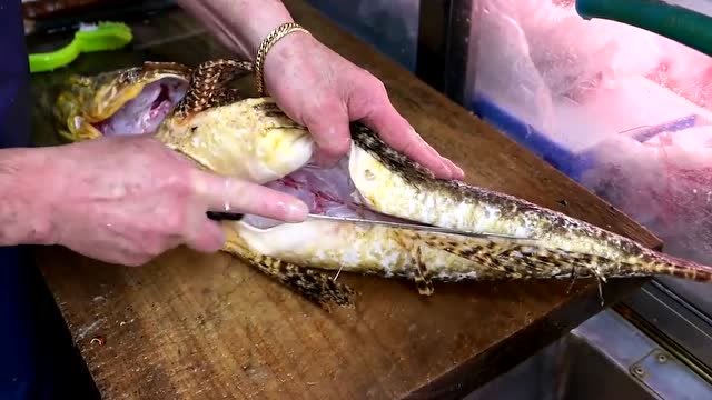 日本海鲜市场,师傅将博氏孔牛尾鱼做成刺身