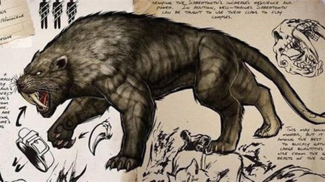 曾经横行美洲的剑齿虎,为什么会在一万多年前突然灭绝?