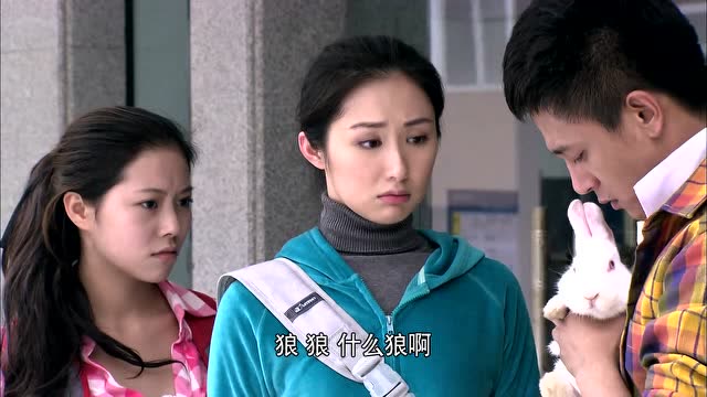 恩情无限:刘芮芮和窦兆晖撞个正着,二人你不服我,我不服你!