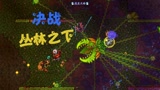 泰拉瑞亚 女巫与真实MOD 52 决战世纪之花