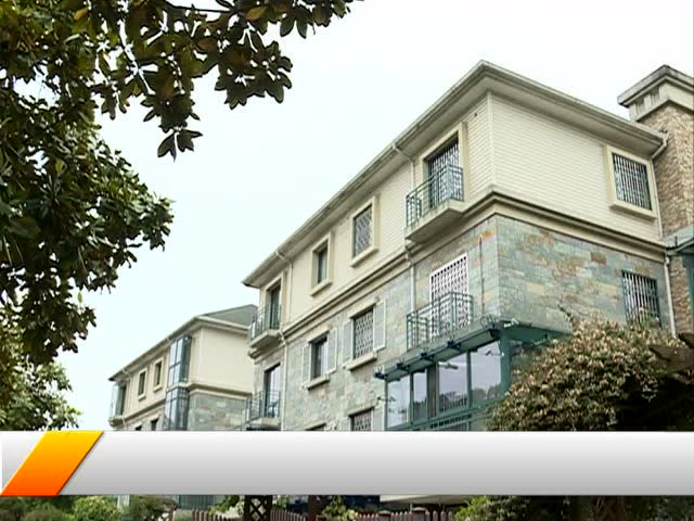 特大别墅盗窃案1