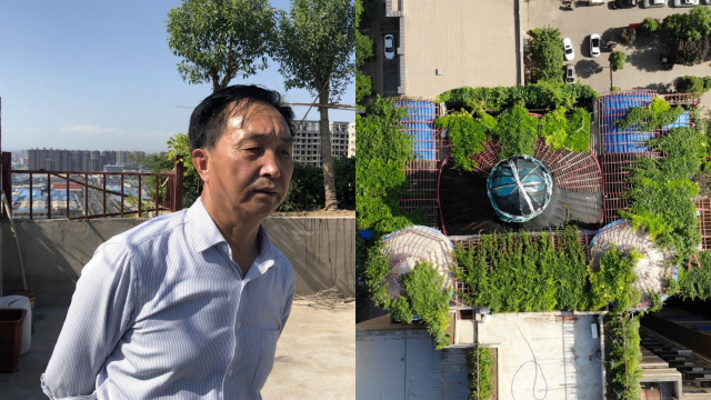 斥资百万空中花园,近日动工拆除,赵大爷称:以后再也不搞了