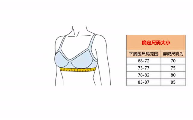 下胸围66图片