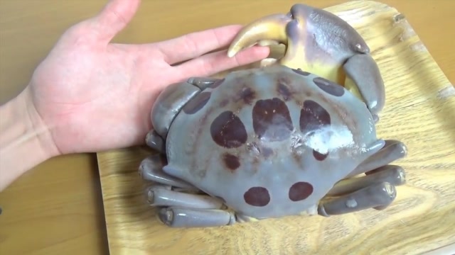 小伙买了只"毒螃蟹",毫无防备煮了就吃,现在他还好吗