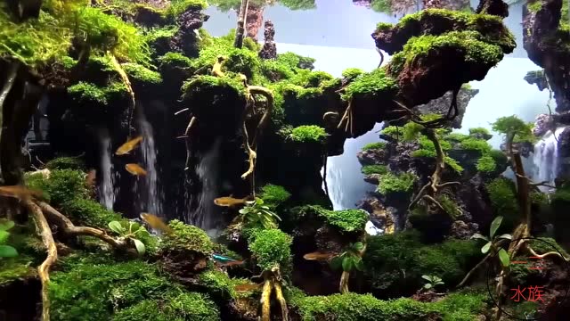 鱼缸用火山岩造景多个流沙瀑布让鱼缸气势如虹
