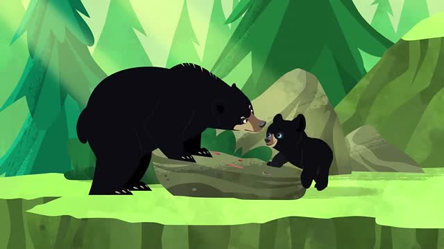 动物兄弟探索小黑熊,小黑熊萌萌哒,简直是可爱