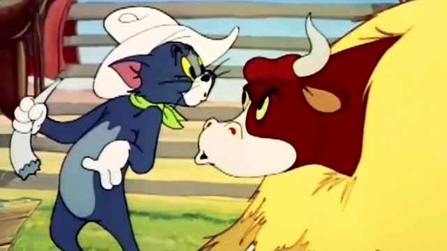 猫和老鼠:汤姆猫把斗牛的牛角给拔下来,这下惨了