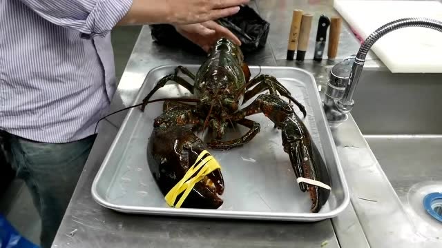 街头小吃- 4斤重的大龙虾,奇怪的是这只血居然是红的