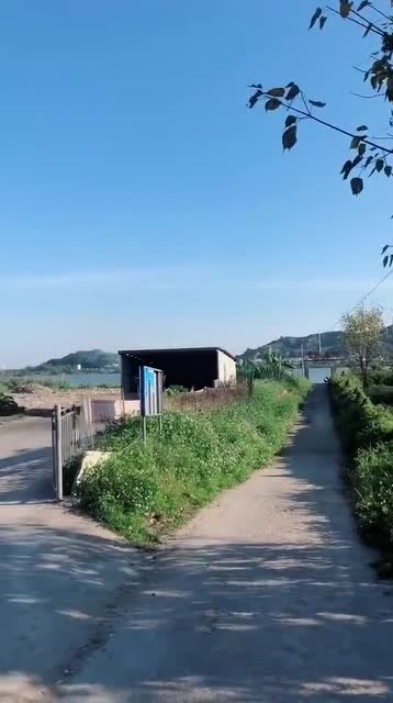 高德地图,搜青屿渡口,然后切换成卫星地图,就可以看到这大船!