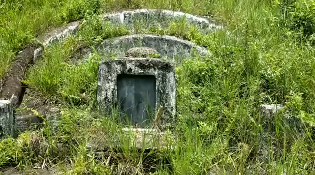 陈益峰:江念泉的风水点穴作品考察(14)