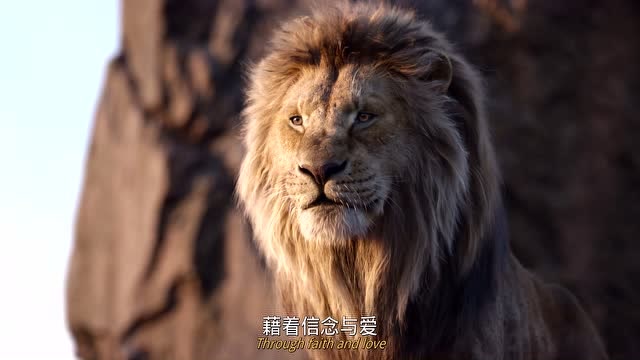 真狮版狮子王 辛巴降生 众生朝拜