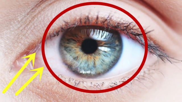 慢镜头记录心灵的窗户,眼睛"瞳孔"的变化,太神奇惊艳了!