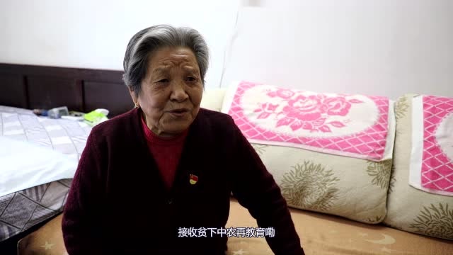 党情——朱秀兰