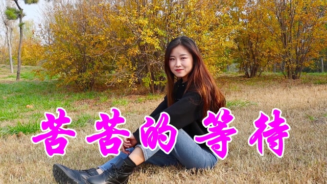 一首伤感情歌《苦苦的等待》,歌词伤感心酸,听得潸然泪下!