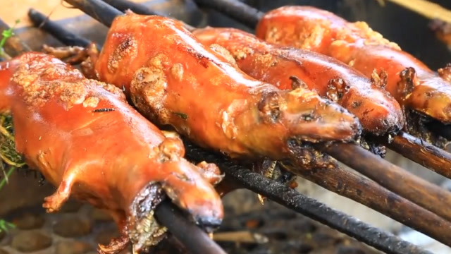 400元1只的脆皮竹鼠,多放香菜,皮脆肉嫩入口即化,比烤乳猪好吃