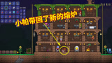 泰拉瑞亚11：小帕从下界挖到狱石，顺便带回家一个新的熔炉