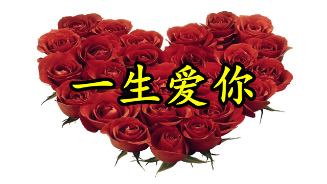 情mv歌:《一生爱你》一生无悔的意境,不见不散有情人