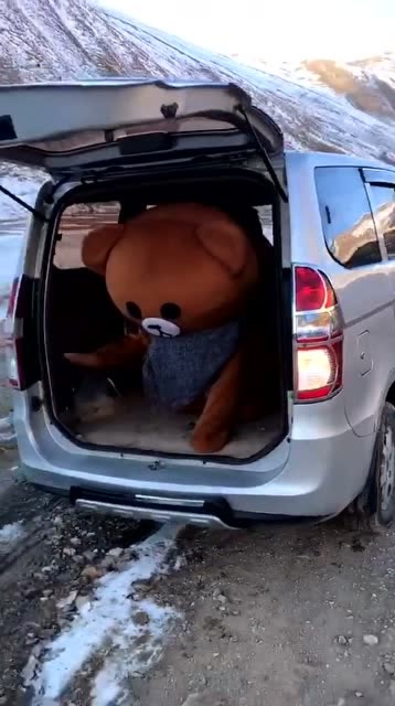 小熊挑衅小车司机,直接被连杀,太惨啦!